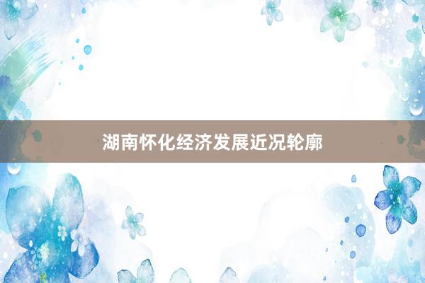 湖南怀化经济发展近况轮廓